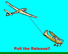 Image19.gif - 6633 Bytes